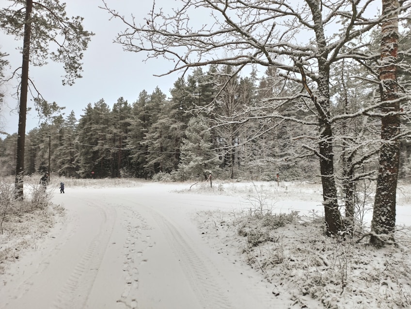 Adv. Un viaggio alla scoperta dei paesaggi innevati