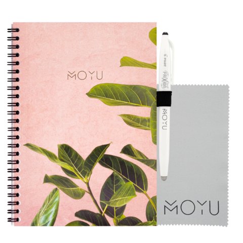 Una bicicletta usata da restaurare insieme