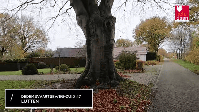 Video van de woning